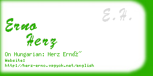 erno herz business card